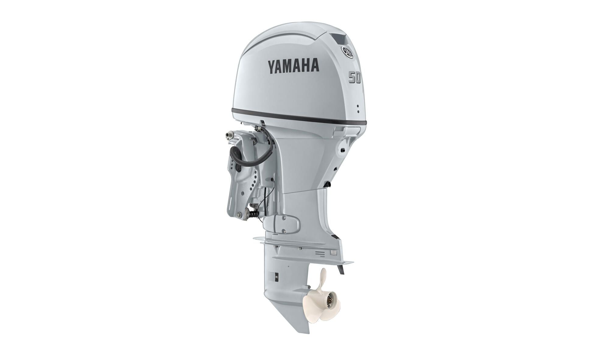 2025_Yamaha_F50_weiss.jpg